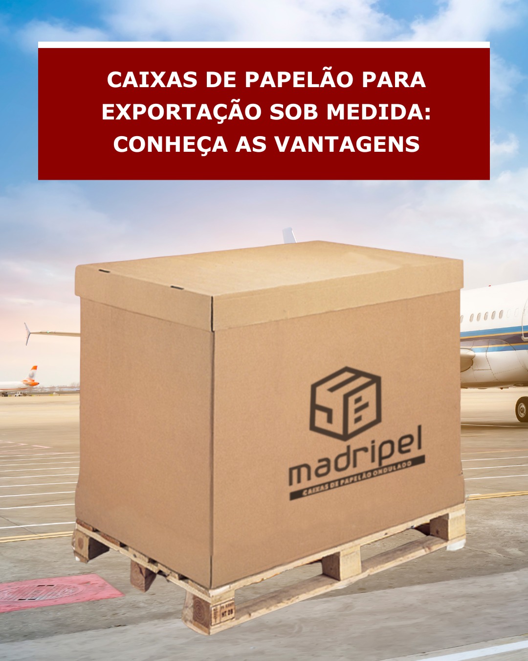 embalagens-ckd-exportacao-grupo-sispex-equipamentos-industriais-sao-paulo
